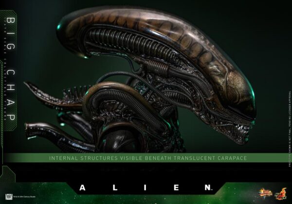 MMS826 - Alien - 1/6th scale Big Chap - Image 17