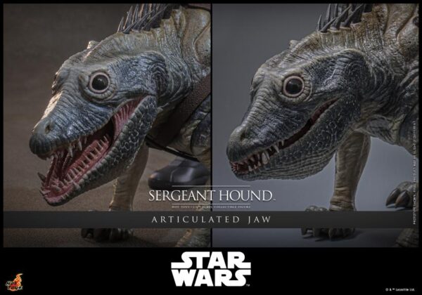TMS167 - Star Wars: The Clone Wars - 1/6th scale Sergeant Hound - Image 20