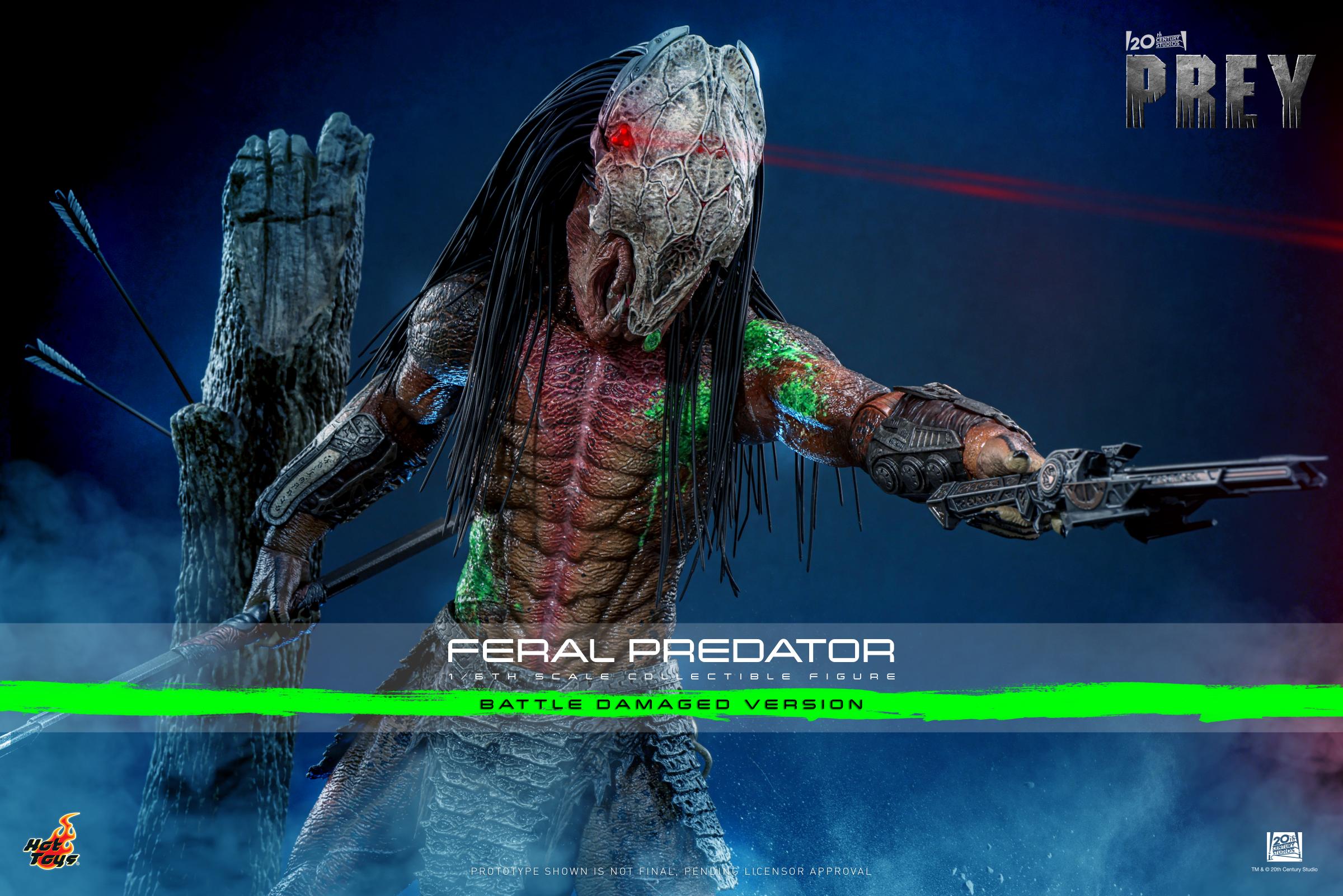 TMS173 - Prey - 1/6th scale Feral Predator (Battle Damaged Version) - Image 2