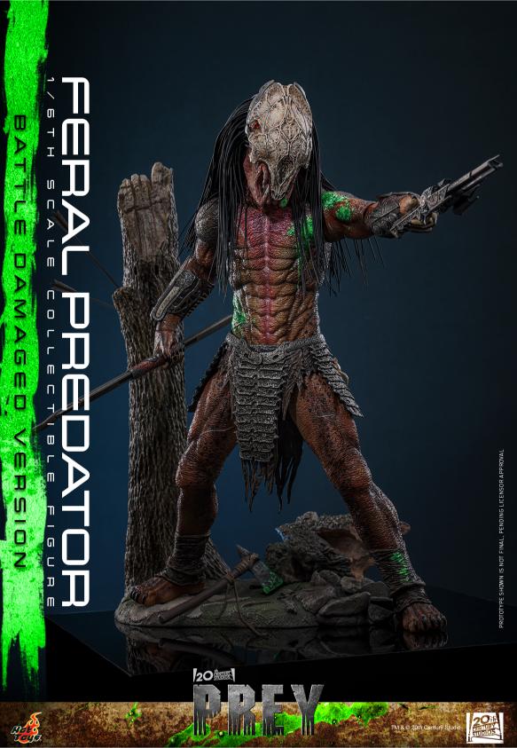 TMS173 - Prey - 1/6th scale Feral Predator (Battle Damaged Version) - Image 3