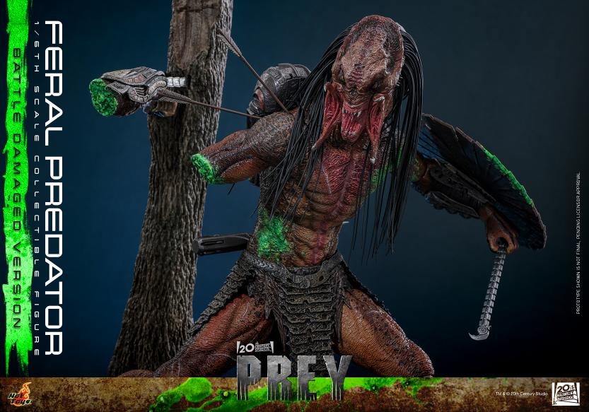 TMS173 - Prey - 1/6th scale Feral Predator (Battle Damaged Version) - Image 12