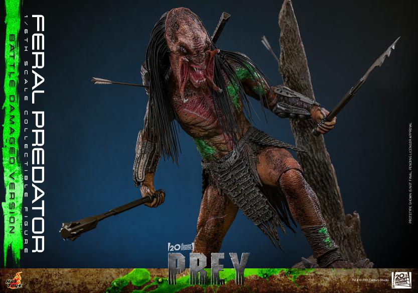 TMS173 - Prey - 1/6th scale Feral Predator (Battle Damaged Version) - Image 13