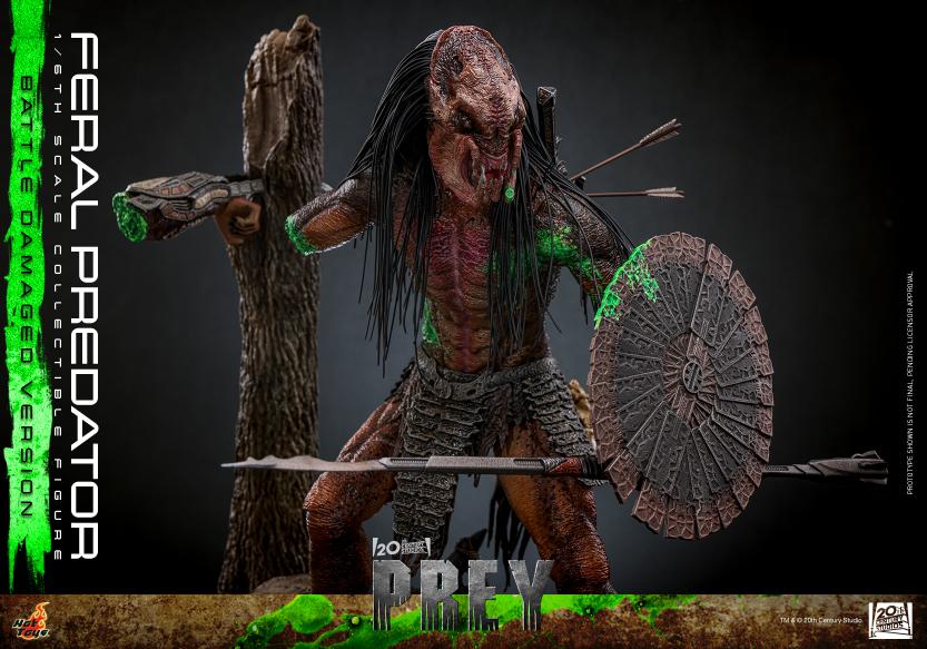 TMS173 - Prey - 1/6th scale Feral Predator (Battle Damaged Version) - Image 15