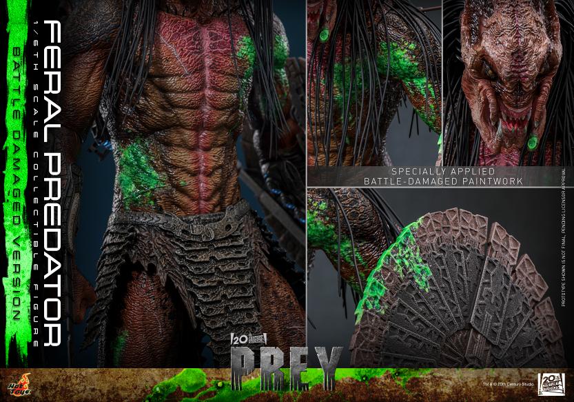 TMS173 - Prey - 1/6th scale Feral Predator (Battle Damaged Version) - Image 17