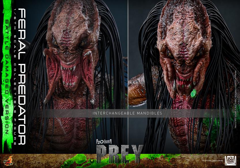 TMS173 - Prey - 1/6th scale Feral Predator (Battle Damaged Version) - Image 19