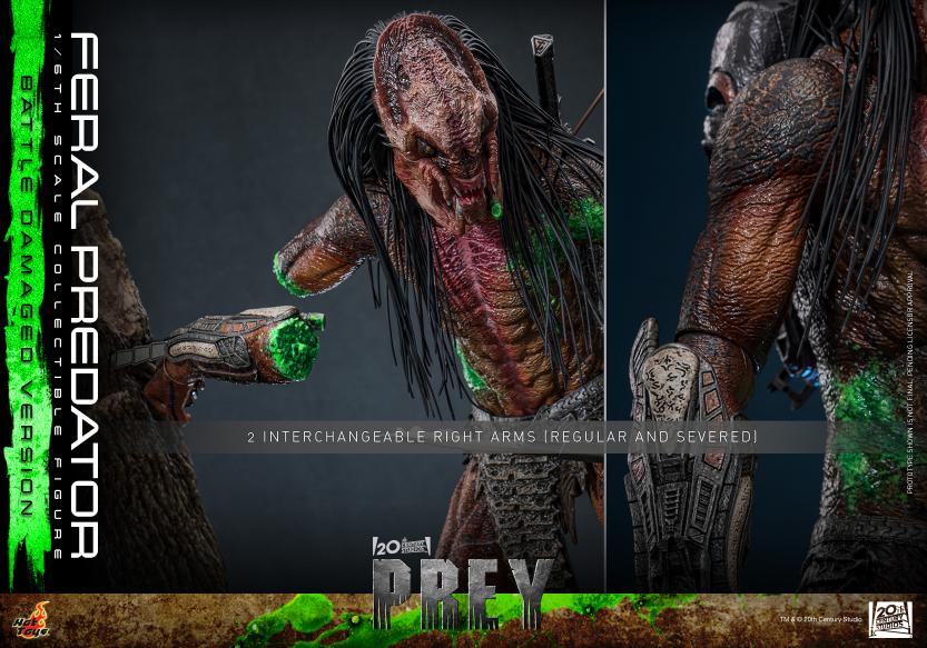 TMS173 - Prey - 1/6th scale Feral Predator (Battle Damaged Version) - Image 20