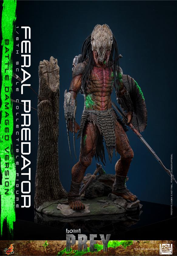 TMS173 - Prey - 1/6th scale Feral Predator (Battle Damaged Version) - Image 4