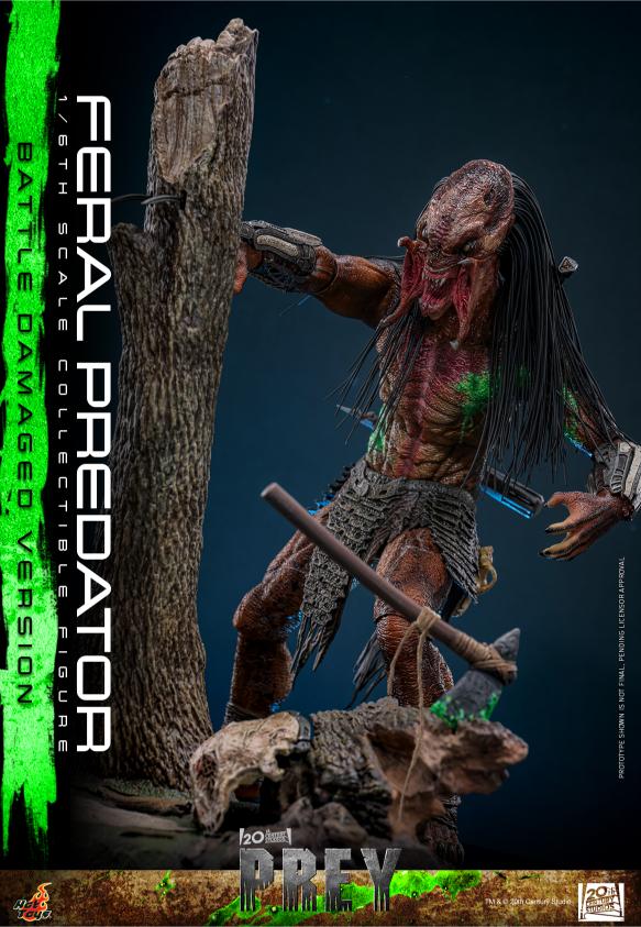 TMS173 - Prey - 1/6th scale Feral Predator (Battle Damaged Version) - Image 5