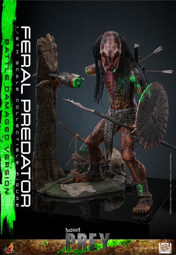 TMS173 - Prey - 1/6th scale Feral Predator (Battle Damaged Version) - Image 6