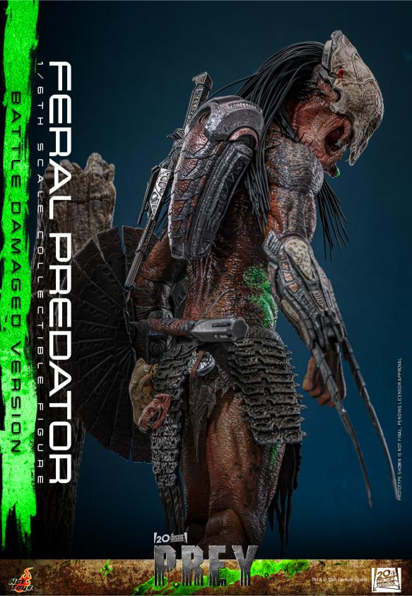 TMS173 - Prey - 1/6th scale Feral Predator (Battle Damaged Version) - Image 8