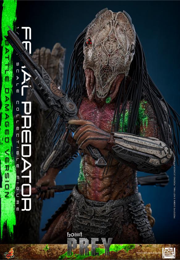 TMS173 - Prey - 1/6th scale Feral Predator (Battle Damaged Version) - Image 9