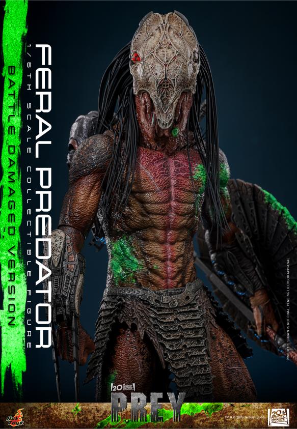 TMS173 - Prey - 1/6th scale Feral Predator (Battle Damaged Version) - Image 10