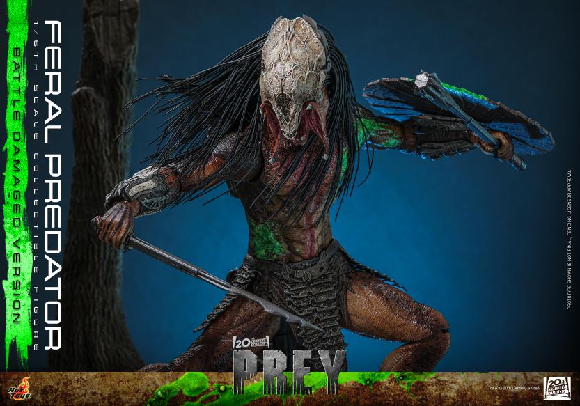 TMS173 - Prey - 1/6th scale Feral Predator (Battle Damaged Version) - Image 11