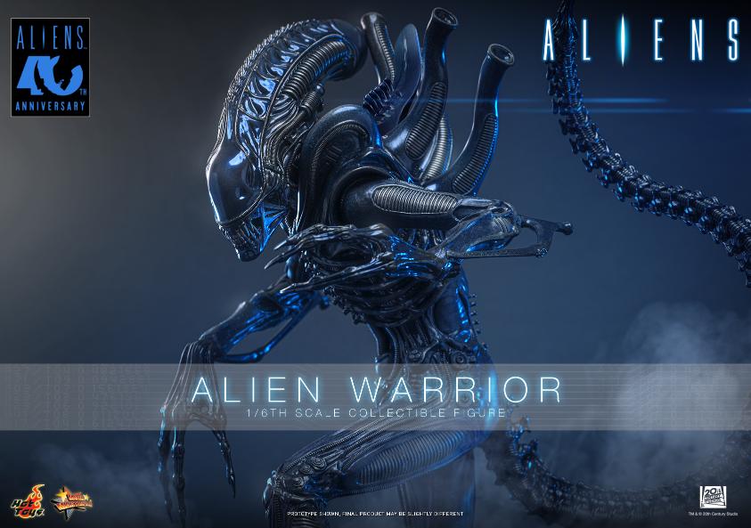 MMS898 – Aliens - 1/6th scale Alien Warrior - Image 2