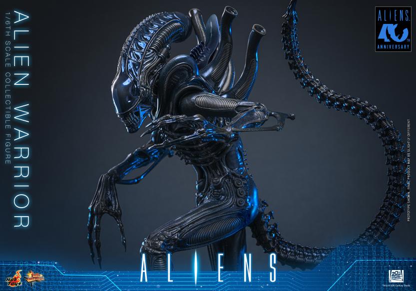 MMS898 – Aliens - 1/6th scale Alien Warrior - Image 3