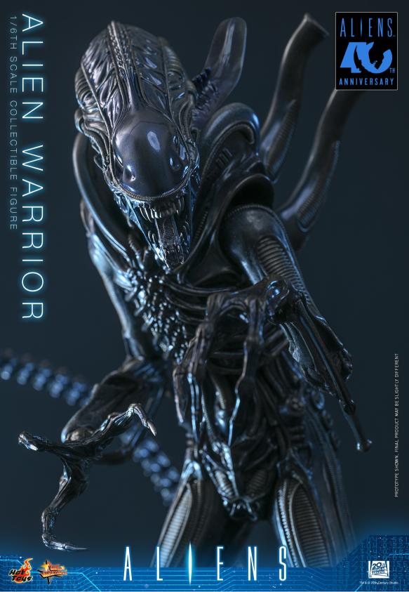 MMS898 – Aliens - 1/6th scale Alien Warrior - Image 12