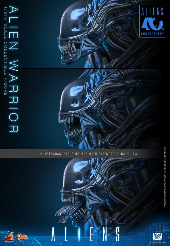 MMS898 – Aliens - 1/6th scale Alien Warrior - Image 13