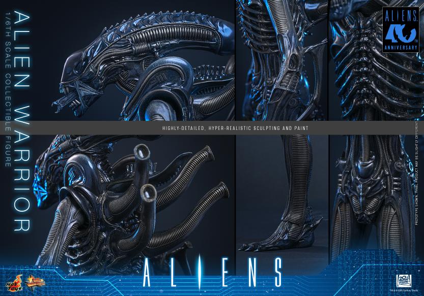 MMS898 – Aliens - 1/6th scale Alien Warrior - Image 14