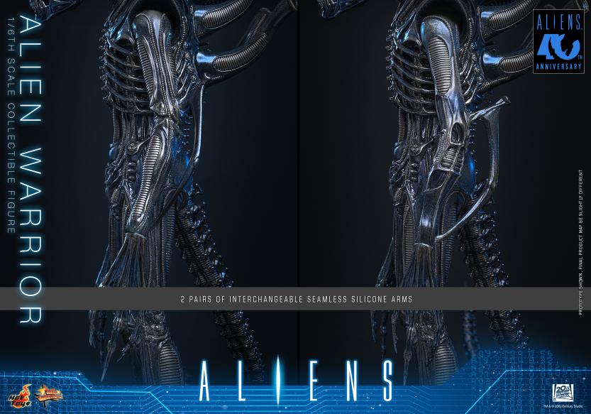 MMS898 – Aliens - 1/6th scale Alien Warrior - Image 15