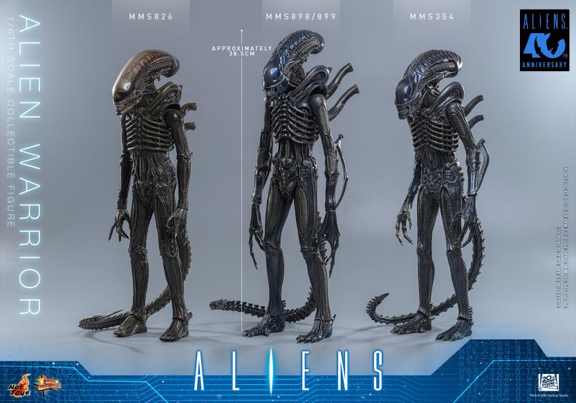 MMS898 – Aliens - 1/6th scale Alien Warrior - Image 16