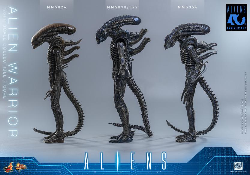 MMS898 – Aliens - 1/6th scale Alien Warrior - Image 17
