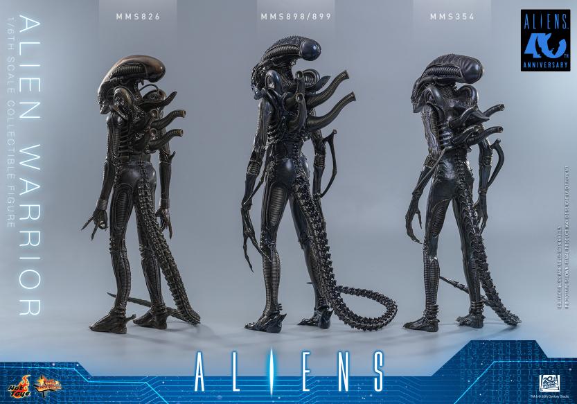 MMS898 – Aliens - 1/6th scale Alien Warrior - Image 18