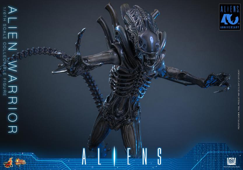 MMS898 – Aliens - 1/6th scale Alien Warrior - Image 4