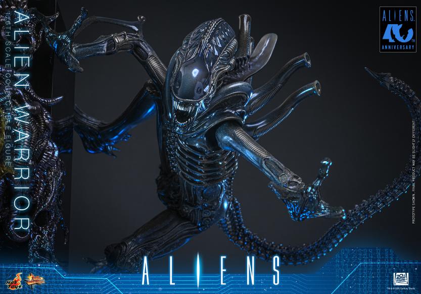 MMS898 – Aliens - 1/6th scale Alien Warrior - Image 5