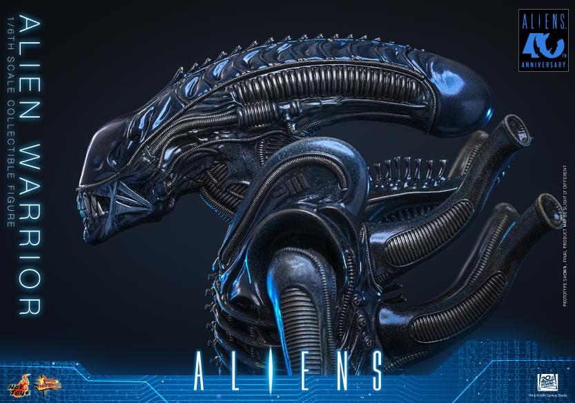 MMS898 – Aliens - 1/6th scale Alien Warrior - Image 6