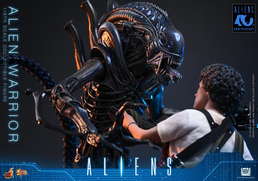 MMS898 – Aliens - 1/6th scale Alien Warrior - Image 7