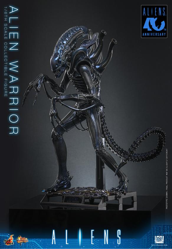MMS898 – Aliens - 1/6th scale Alien Warrior - Image 8