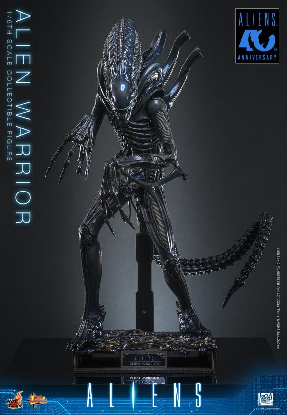 MMS898 – Aliens - 1/6th scale Alien Warrior - Image 9