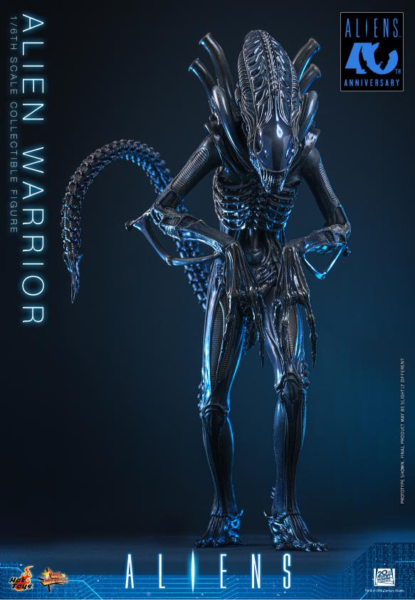 MMS898 – Aliens - 1/6th scale Alien Warrior - Image 10