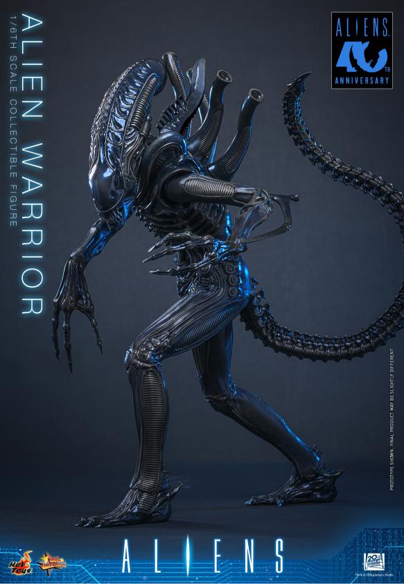 MMS898 – Aliens - 1/6th scale Alien Warrior - Image 11
