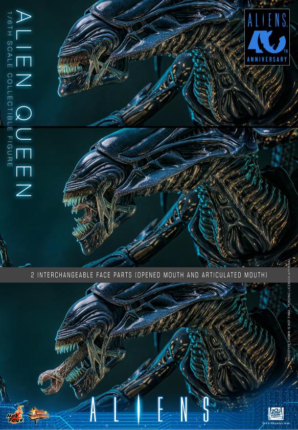 MMS903 - Aliens - 1/6th scale Alien Queen - Image 20