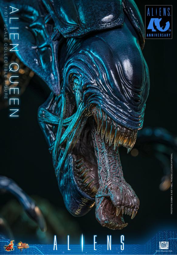 MMS903 - Aliens - 1/6th scale Alien Queen - Image 21
