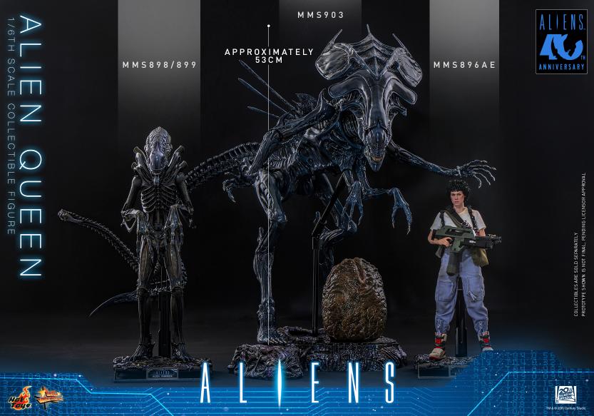 MMS903 - Aliens - 1/6th scale Alien Queen - Image 9