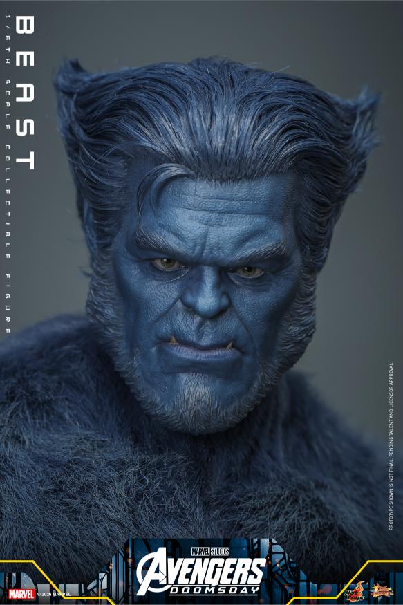 MMS920 – Avengers: Doomsday - 1/6th scale Beast - Image 11