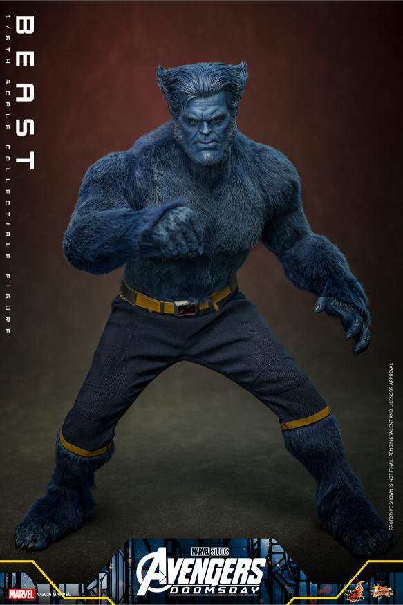MMS920 – Avengers: Doomsday - 1/6th scale Beast - Image 6